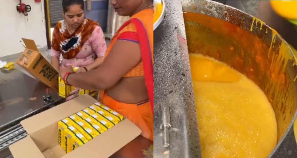 डिब्बा बंद आम का जूस पीने से पहले ये विडियो जरूर देख ले , नहीं तो बाद में पछतायेंगे 1 mango juice making factory